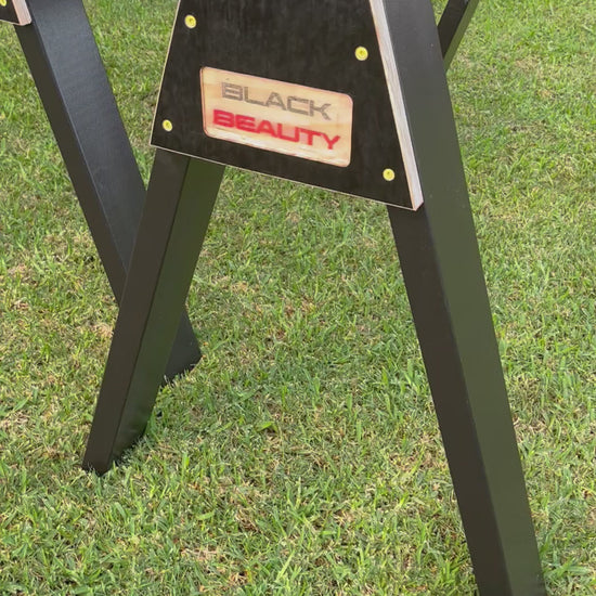 Sawhorse Movie, Saw horse